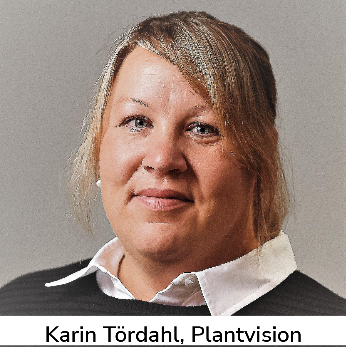Karin Tördahl